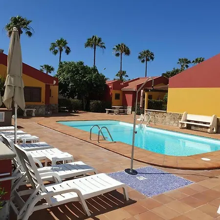 Cozi In Maspalomas *